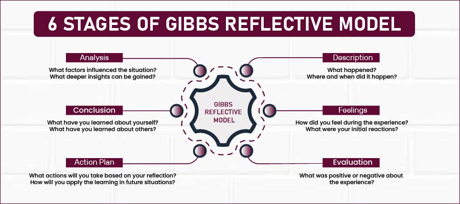 Gibbs Reflective Cycle with Examples