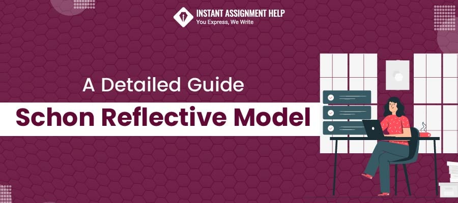 Schon Reflective Model: A Detailed Guide 